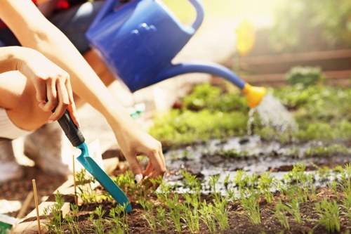 Modern slavery statement introduction for Landscaping Hoxton