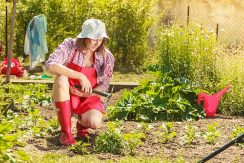 Local fencing options for gardens and courtyards in Hoxton