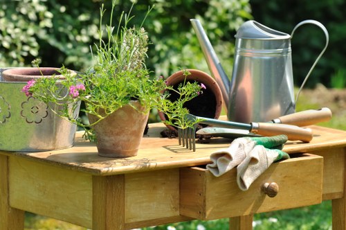 Residential and commercial garden redesign ideas for Hoxton