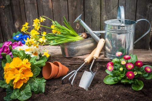 Detailed inspection of a landscaped area after an issue