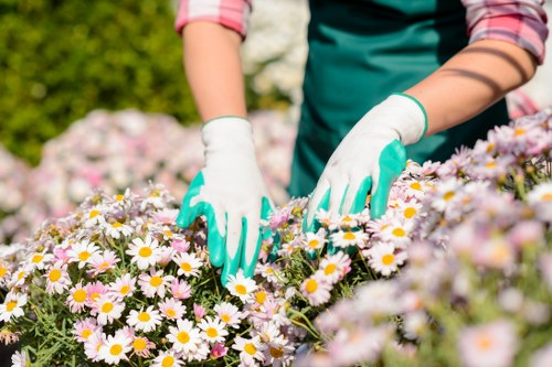 Supplier audit process for landscaping contractors and materials