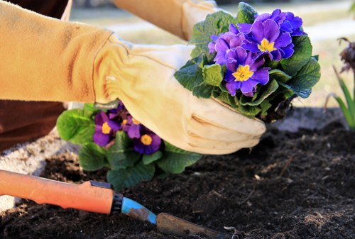 Example landscaping jobs for Hoxton homes and apartments
