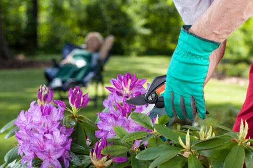 Landscaping tools and site preparation before work starts