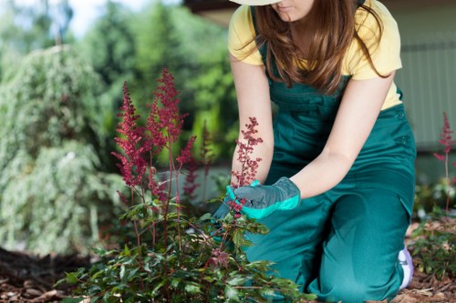 Final review of landscaping work after complaint resolution