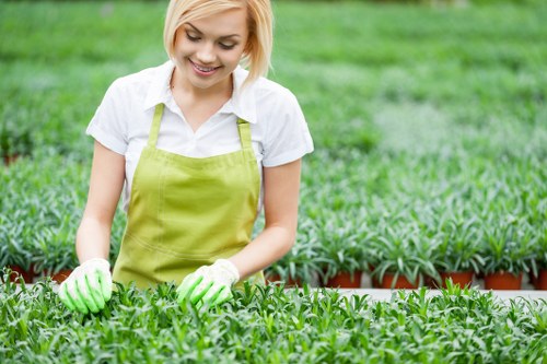 Planning a small-space garden makeover with local access challenges